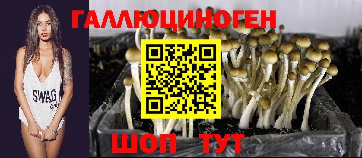 Галлюциногенные грибы Magic Shrooms Лобня