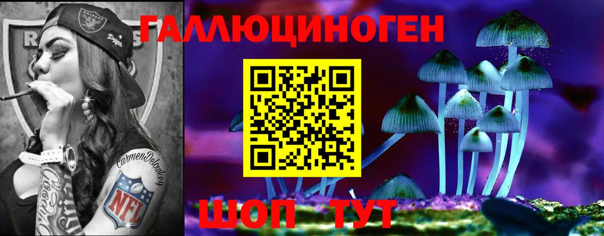 Лобня  Псилоцибиновые грибы Cubensis  Галлюциногенные грибы Psilocybe  Вход с VPN 